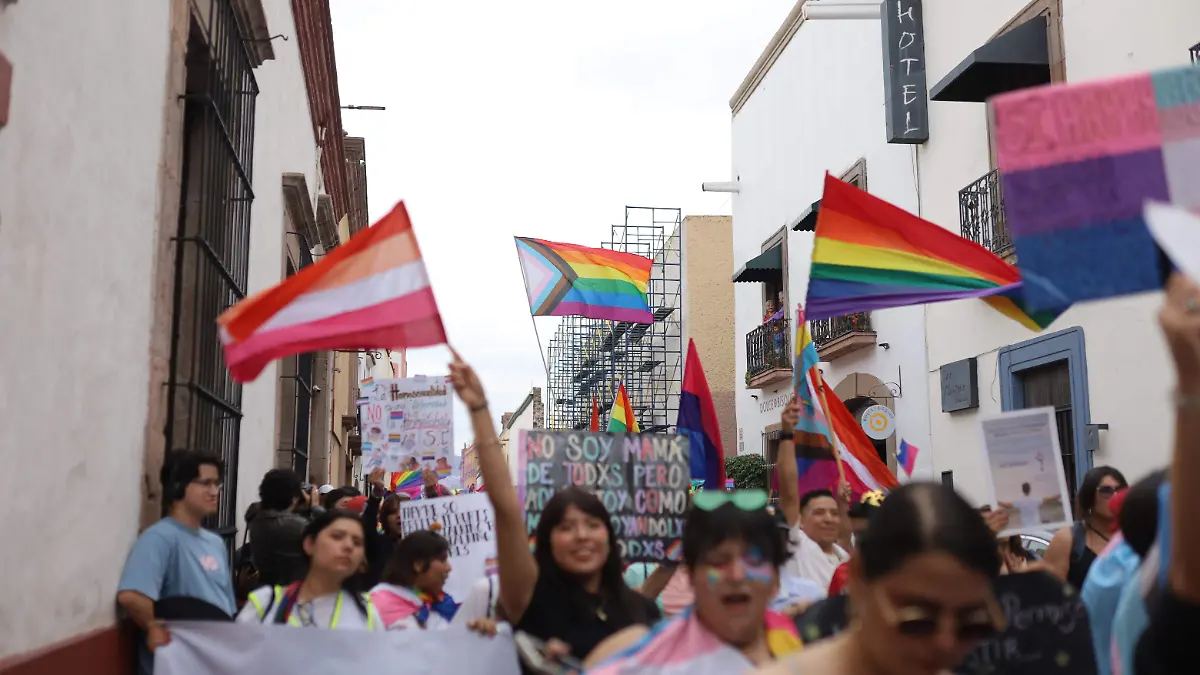 260613_MARCHA COMUNIDAD LGBT_AG 10