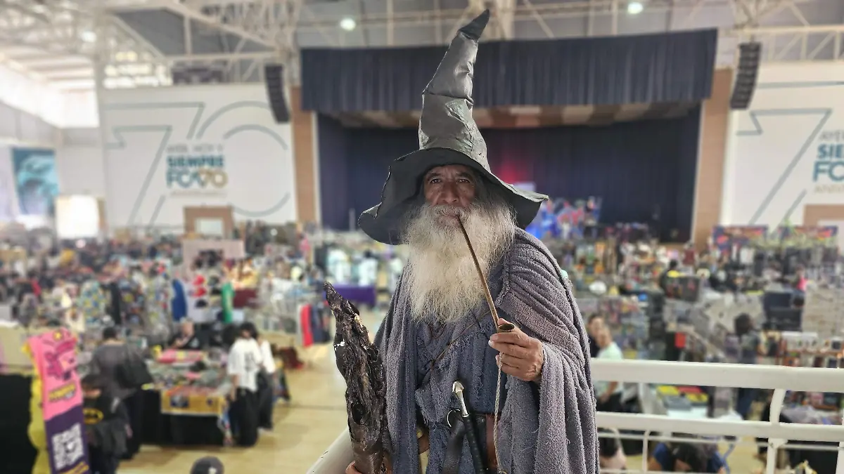 TOY FEST