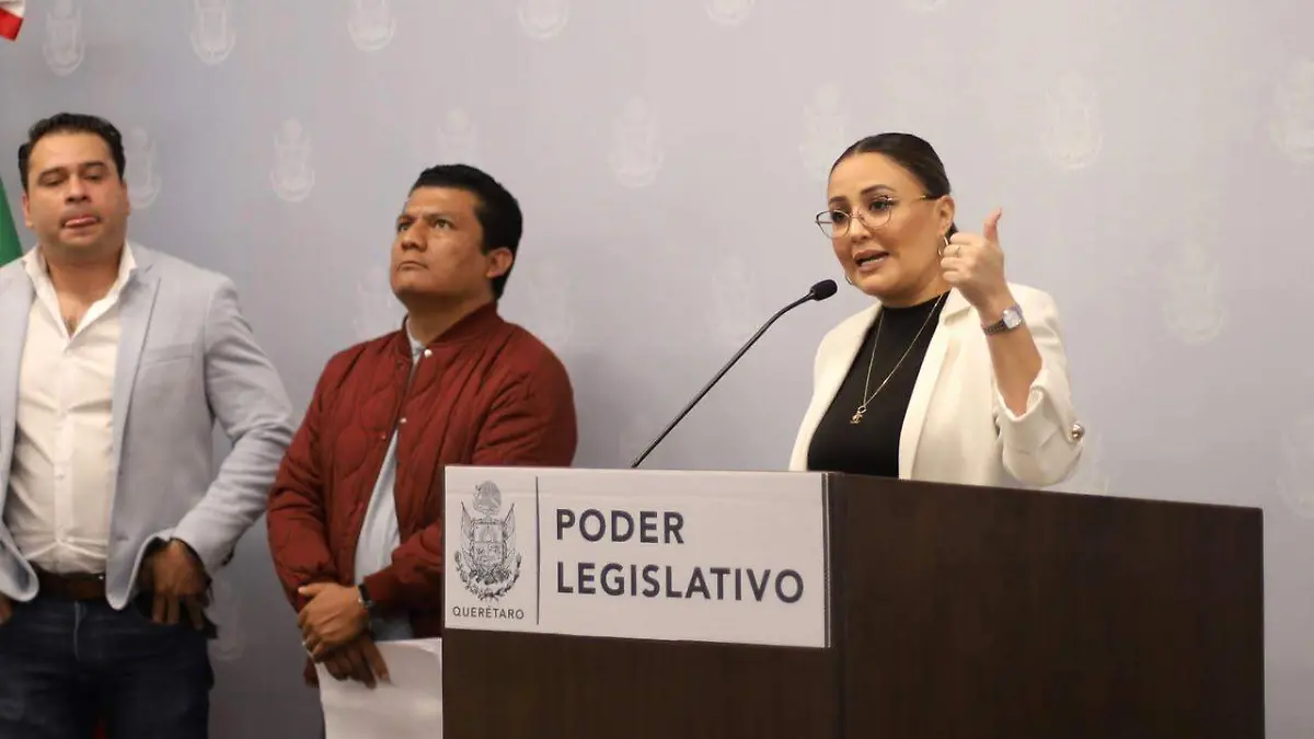 LOS DIPUTADOS