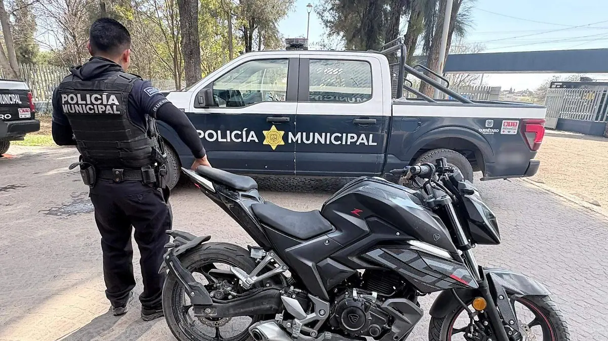 VEHICULOS ASEGURADOS