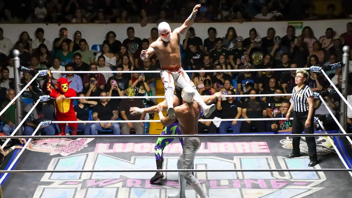 DEP Mistico