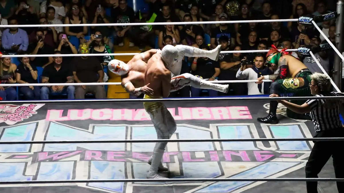 DEP Mistico