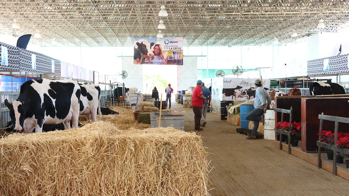 LOS PRODUCTORES DE GANADO