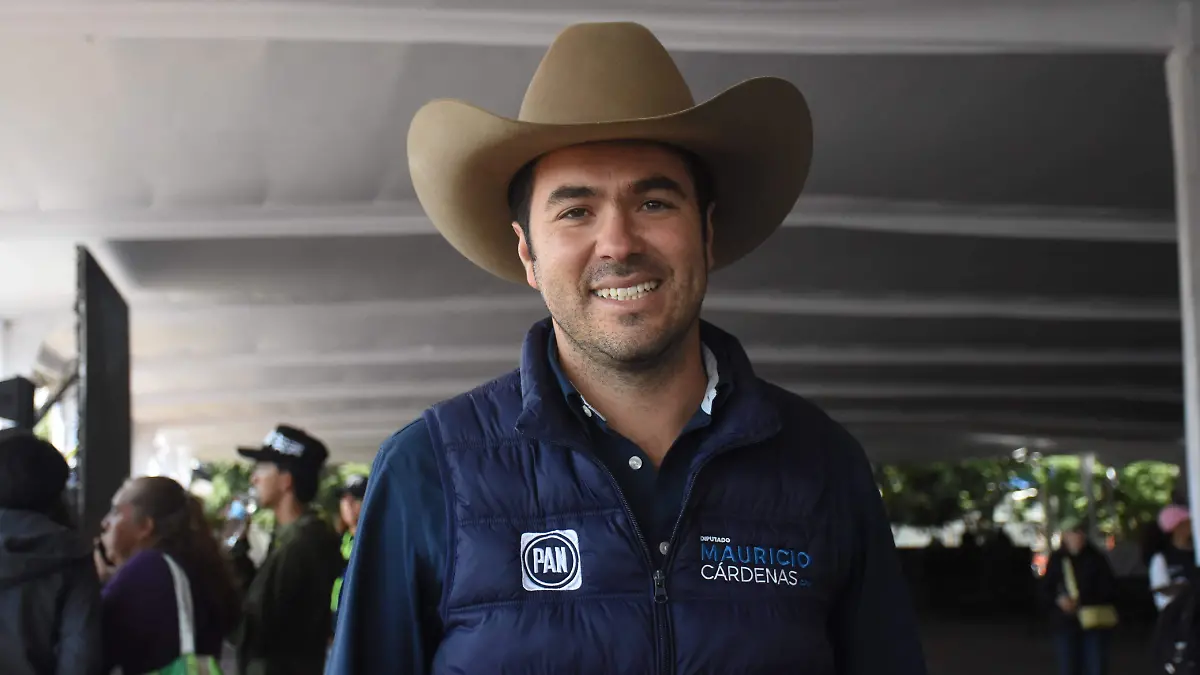 Mauricio Cardenas