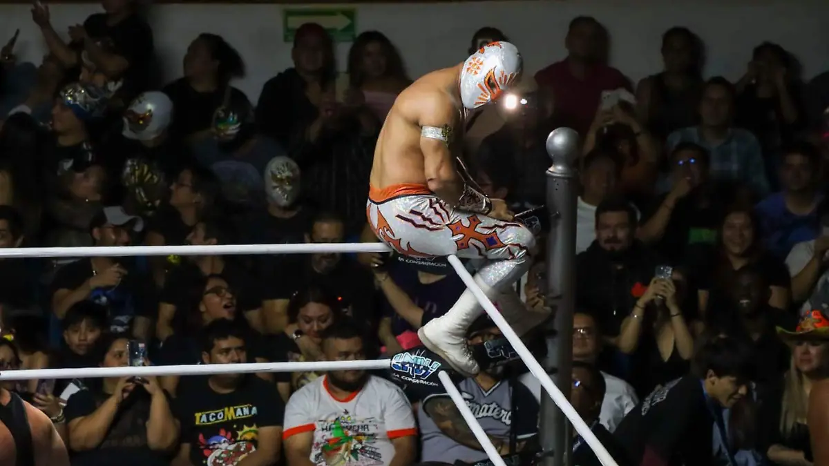 DEP Mistico