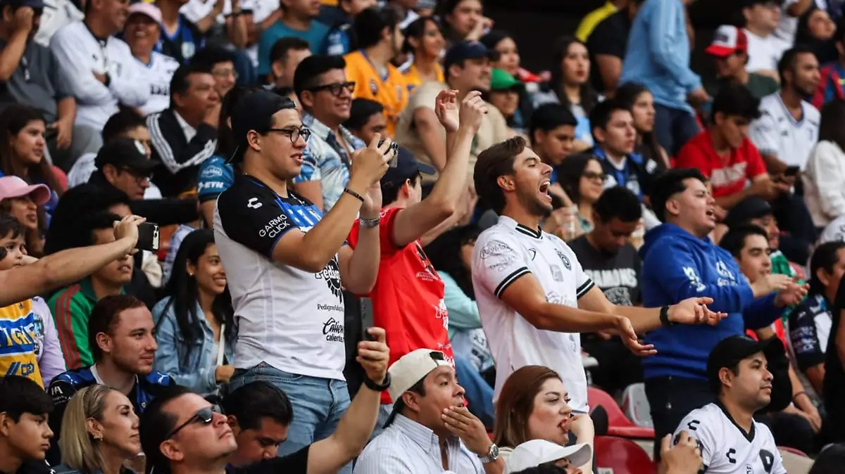 DEP Aficionados