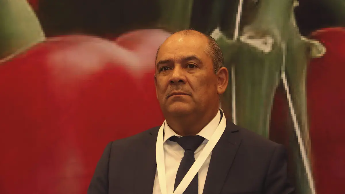 250325_ROSENDO ANAYA SEDEA_HA