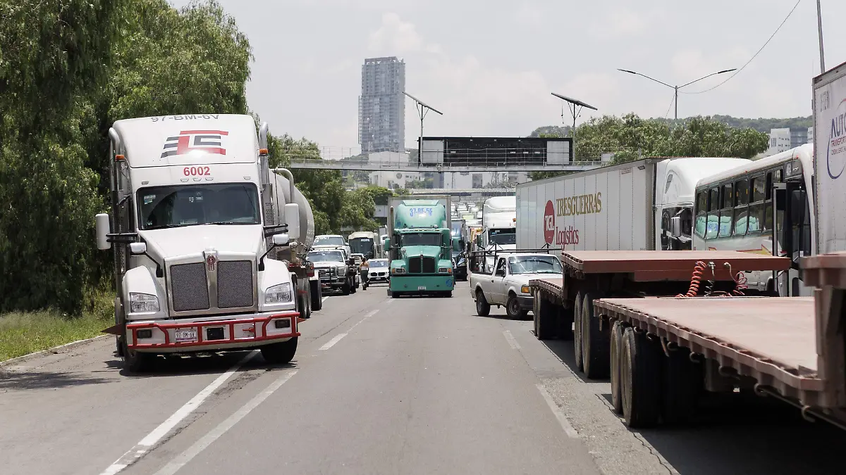 LOS TRANSPORTISTAS