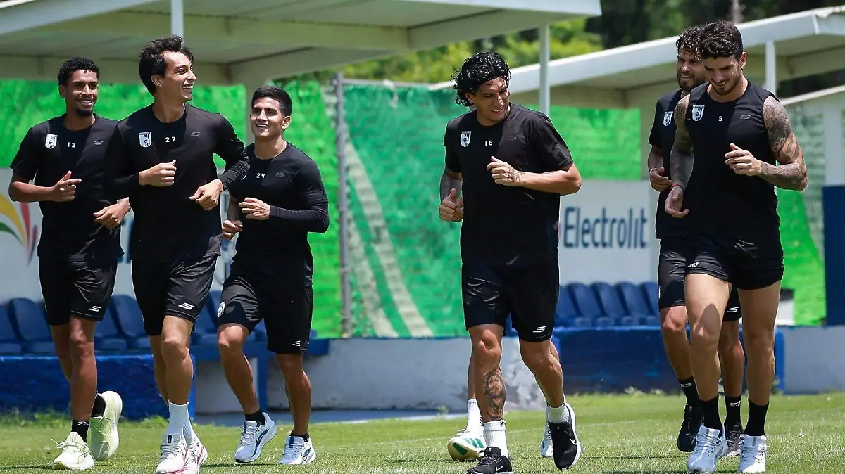 DEP Gallos