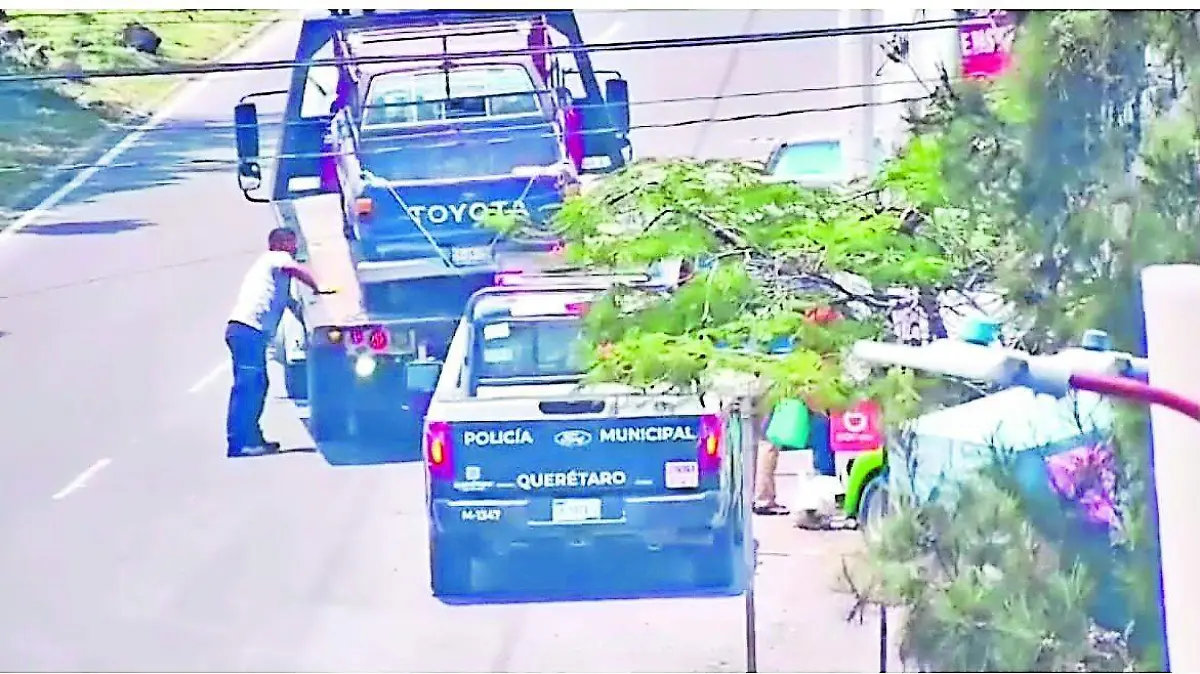 camioneta_CMYK