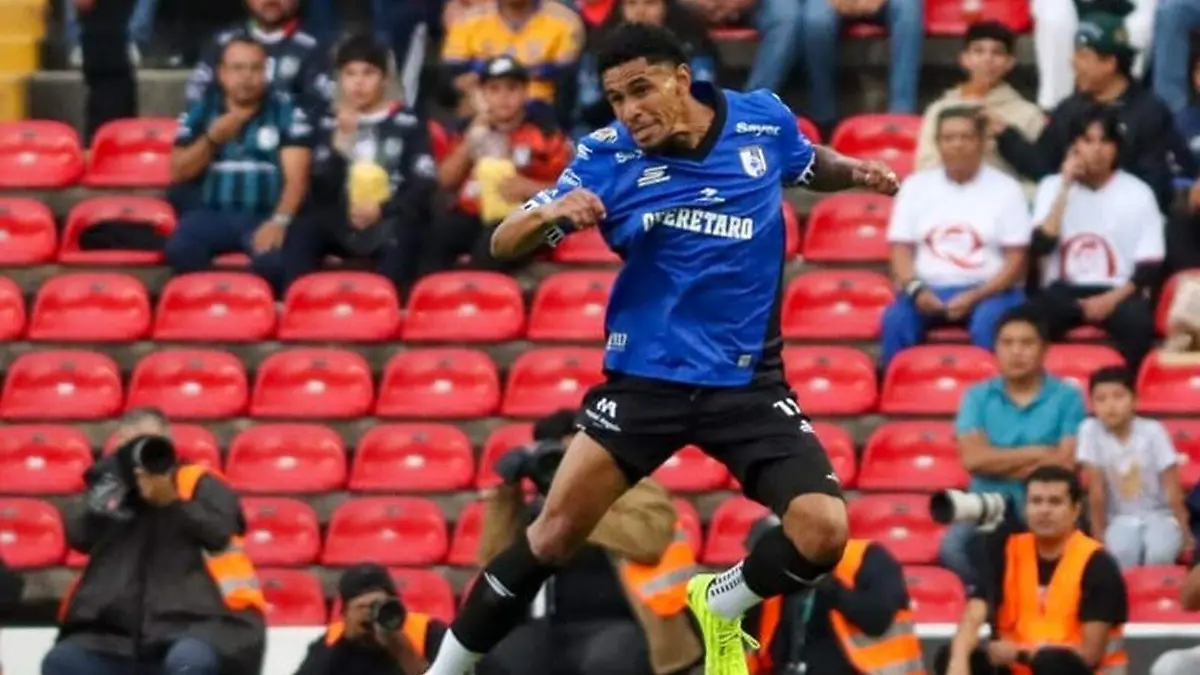 DEP Gallos