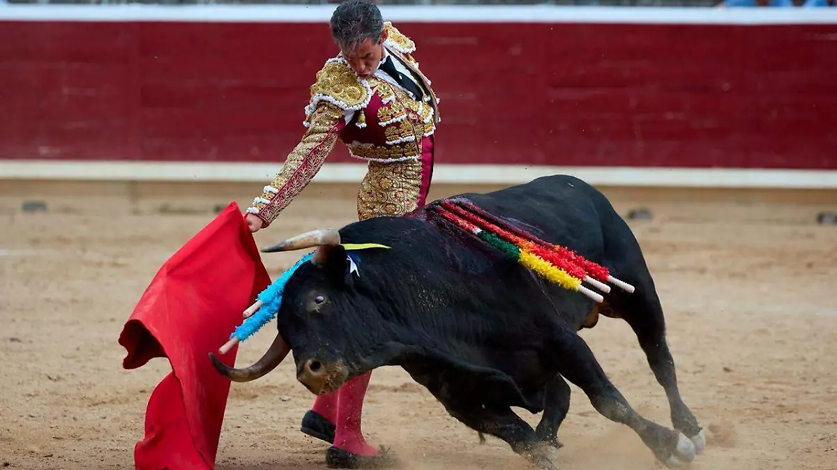DEP Diego