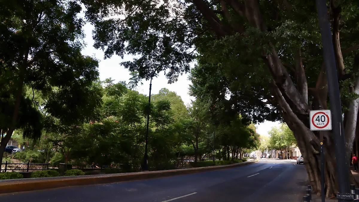 AMBIENTALISTAS HAN