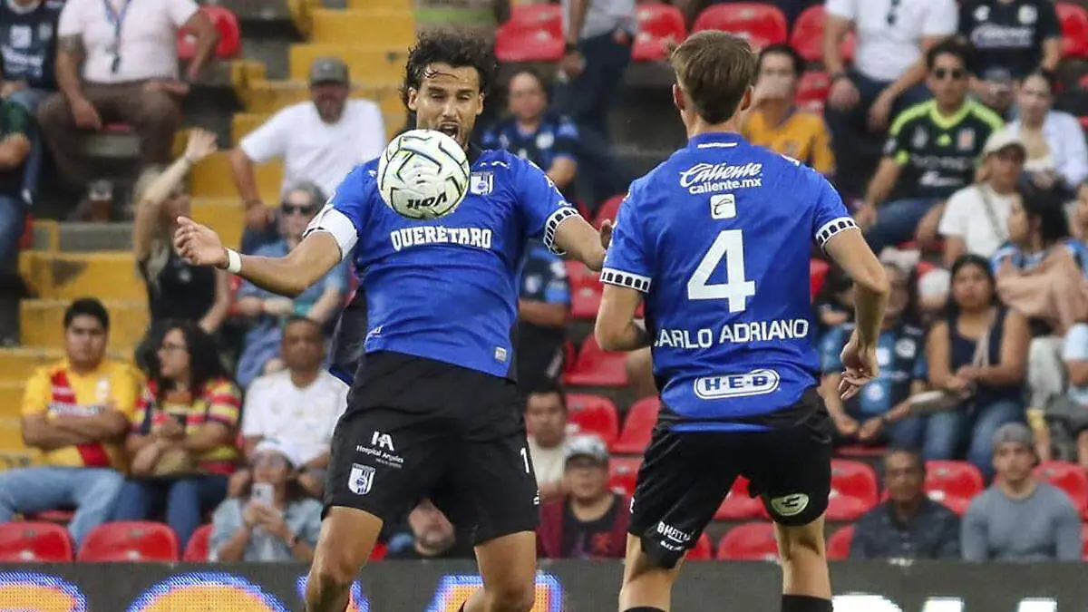 Gallos