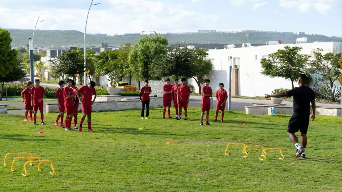 DEP Academia