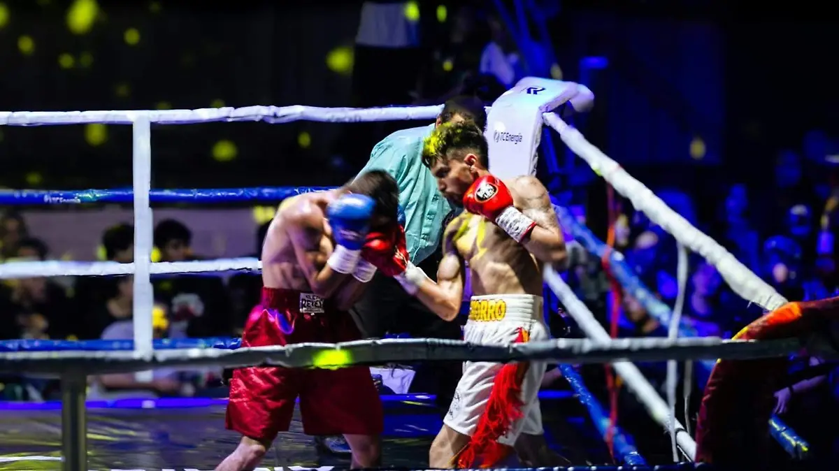 DEP Boxeo