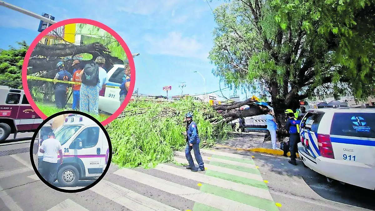 arbol_CMYK