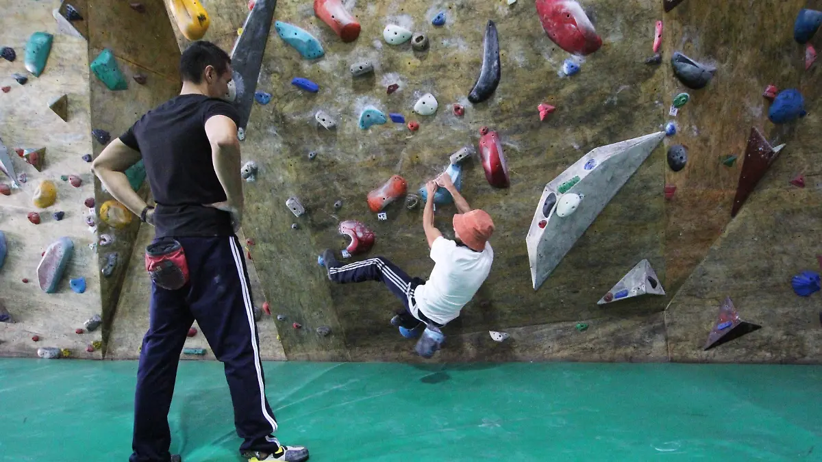 Studio Roca-gimnasia-escalar