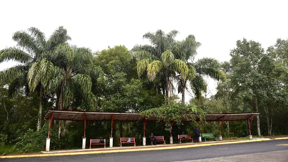 Santuario Naturalia en Xalapa será una de las más de 400 UMAs que existen en el estado