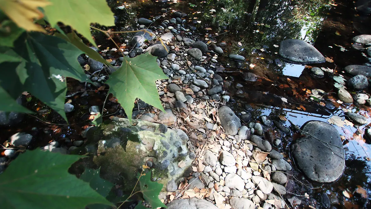 Cambio climático | Crisis ecológica