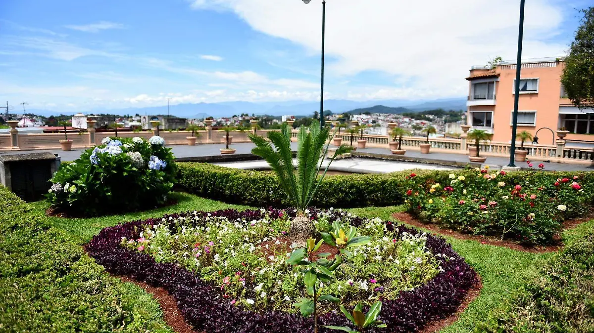 RENE-JARDINES POLINIZADORES (1)
