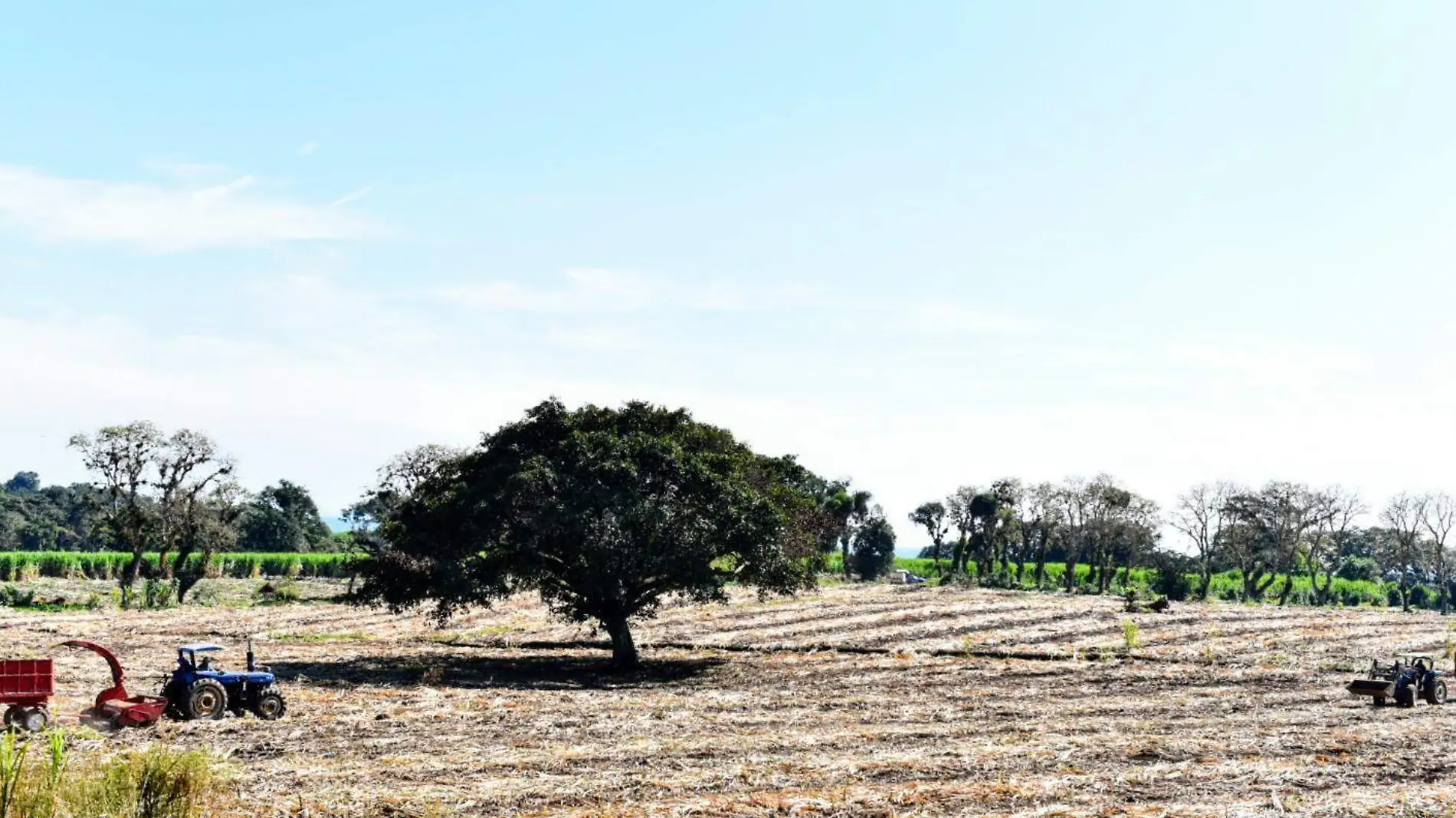 Veracruz entre los estados más secos del país: Conagua