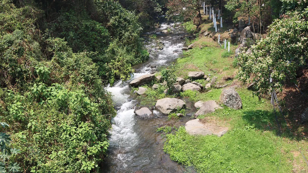 Cambio climático | Crisis ecológica