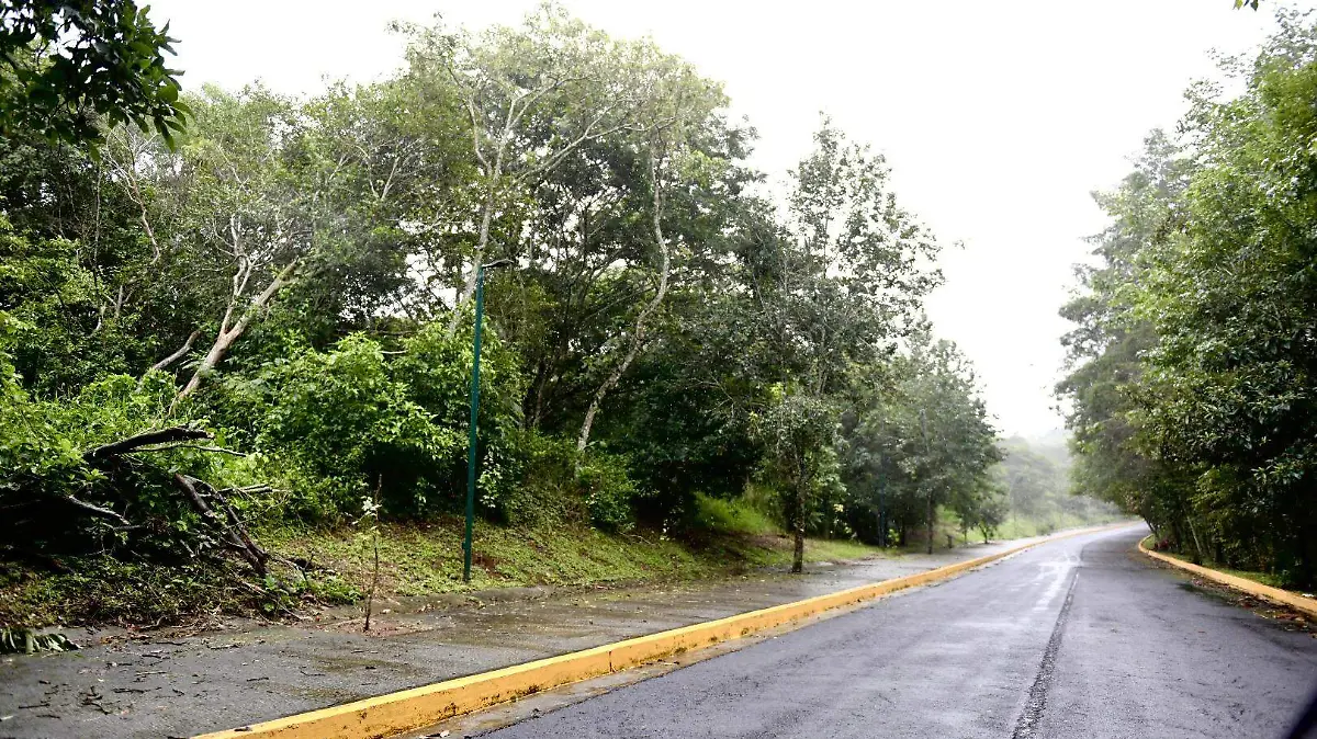 Santuario Naturalia en Xalapa será una de las más de 400 UMAs que existen en el estado
