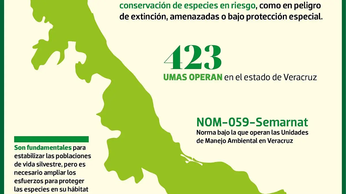 Infografía | Naturalia