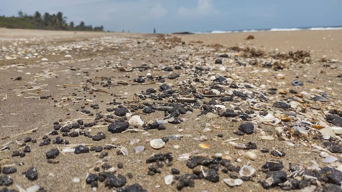 Crudo | Derrame de hidrocarburo 