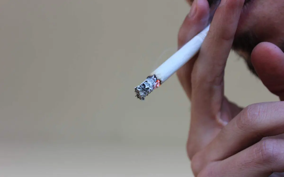 Ciencia y Luz | Cáncer: ¿Un carnaval celular?