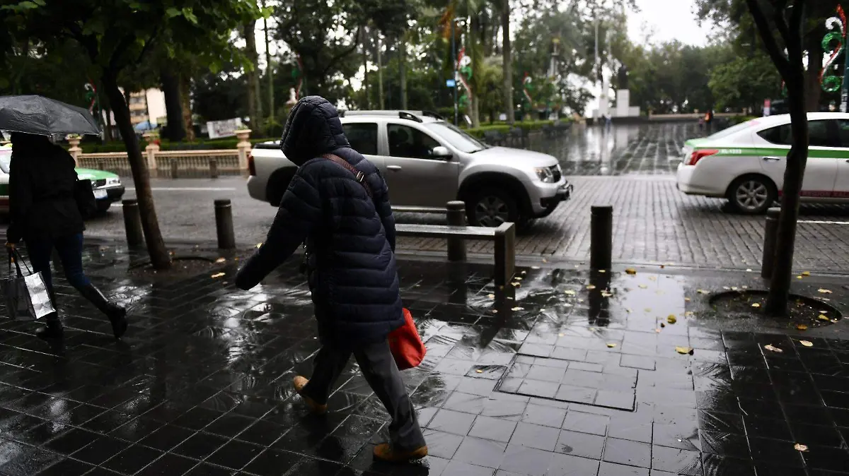 Alergias | Clima | Enfermedades estacionales 