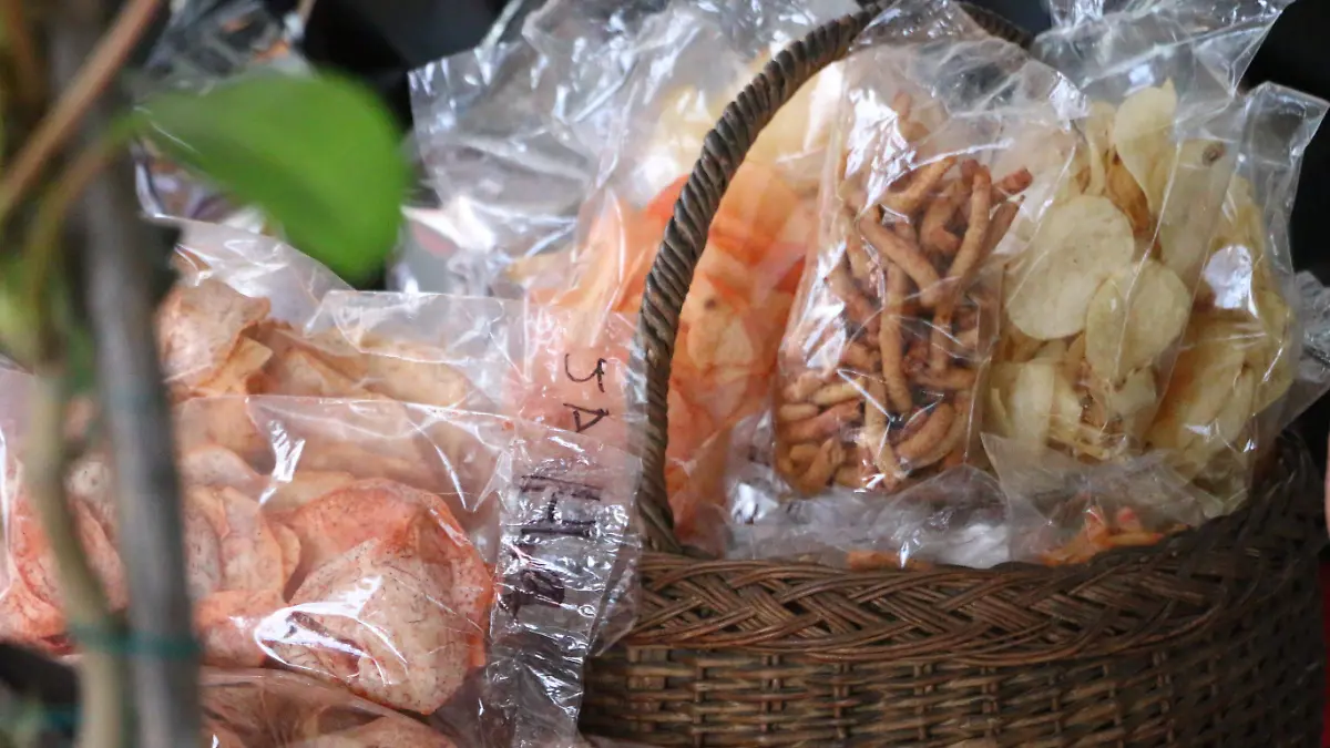 Escuelas de Veracruz siguen vendiendo comida chatarra pese a la ley