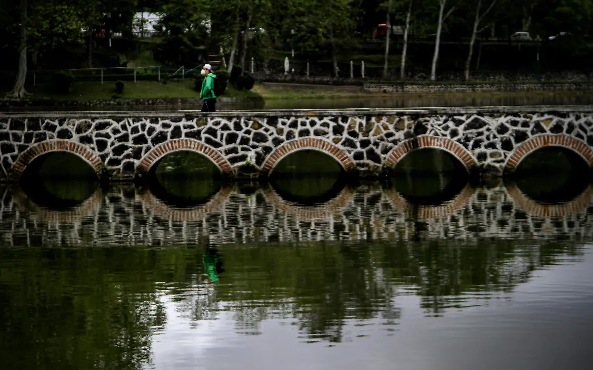 Alergias | Clima | Enfermedades estacionales 