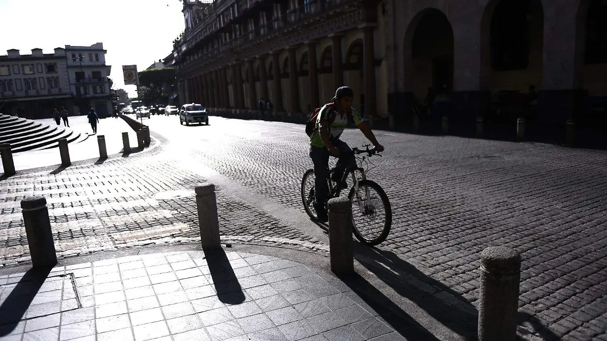 Alergias | Clima | Enfermedades estacionales 