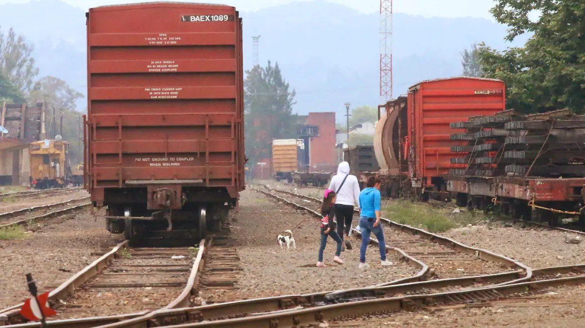 david-tren...._IMG_0921