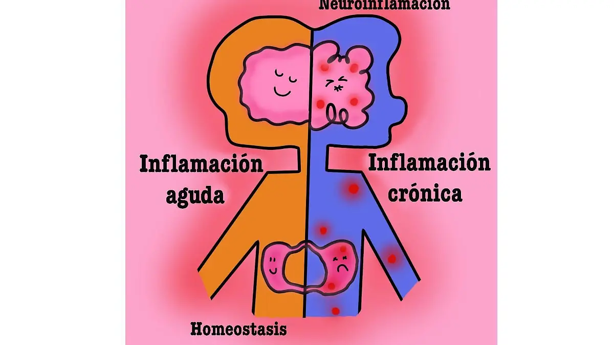 ciencia