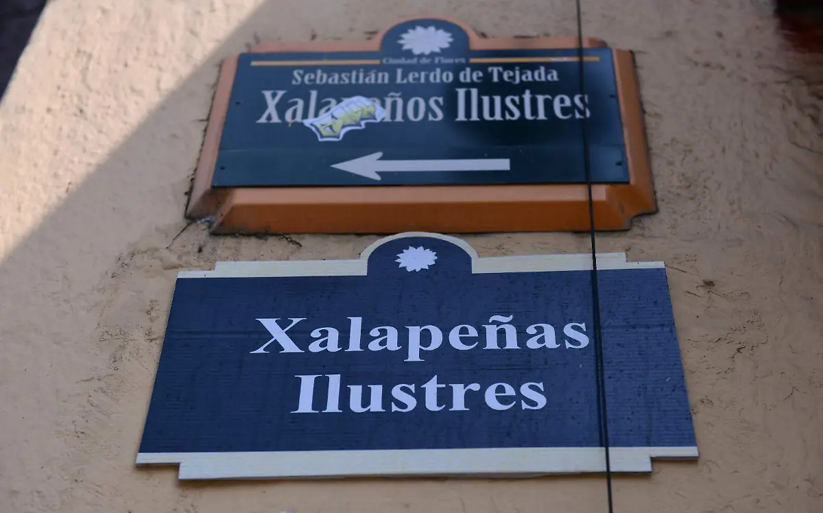 Wendy López | Artivista | Xalapeñas Ilustres