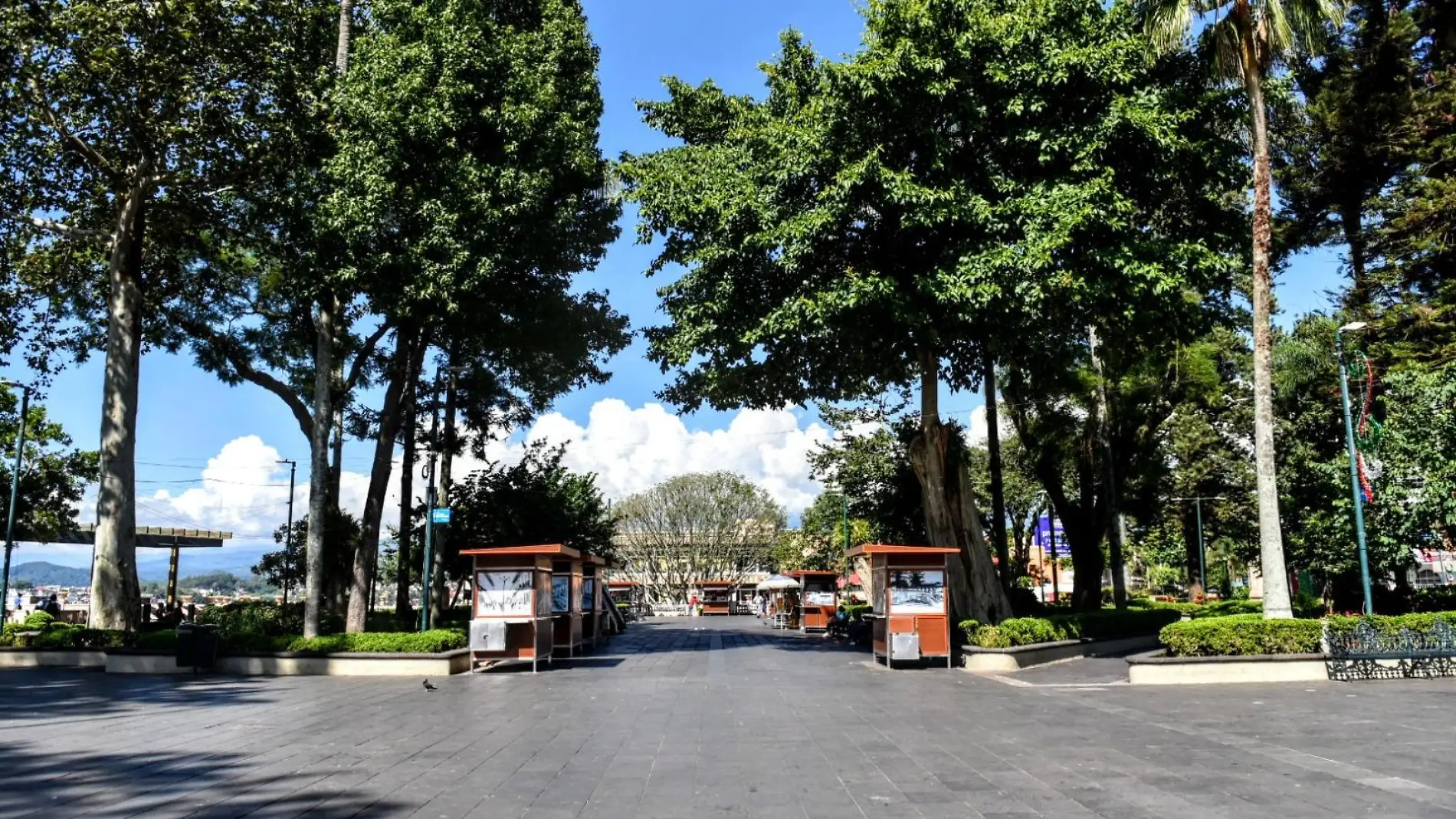 Parque Juárez de Xalapa 