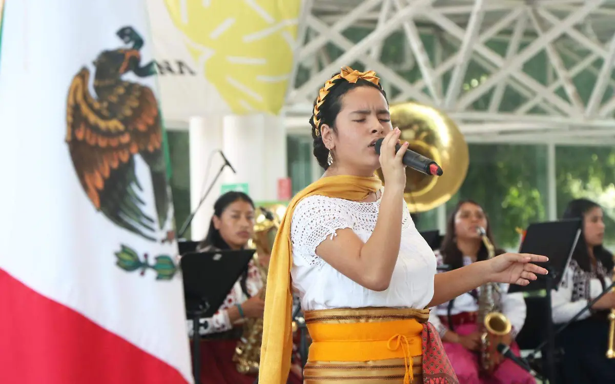 WhatsApp Image 2024-03-03 at 4.55.33 PM