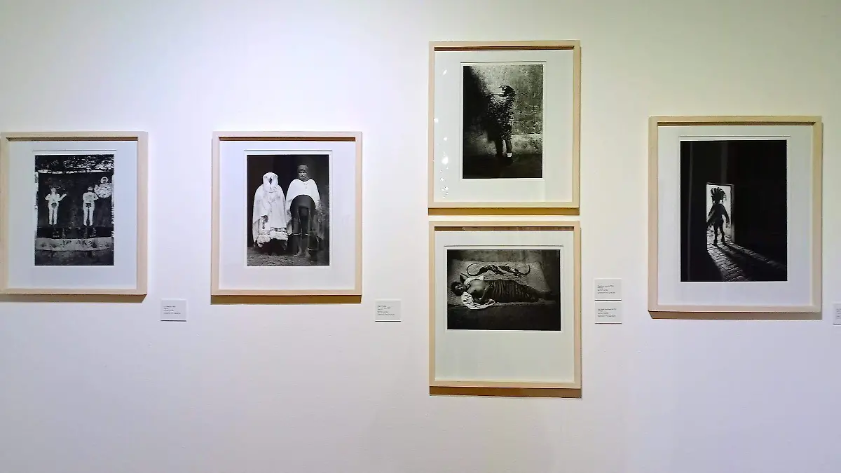 432420321_802454398575462_2153946011941186099_n