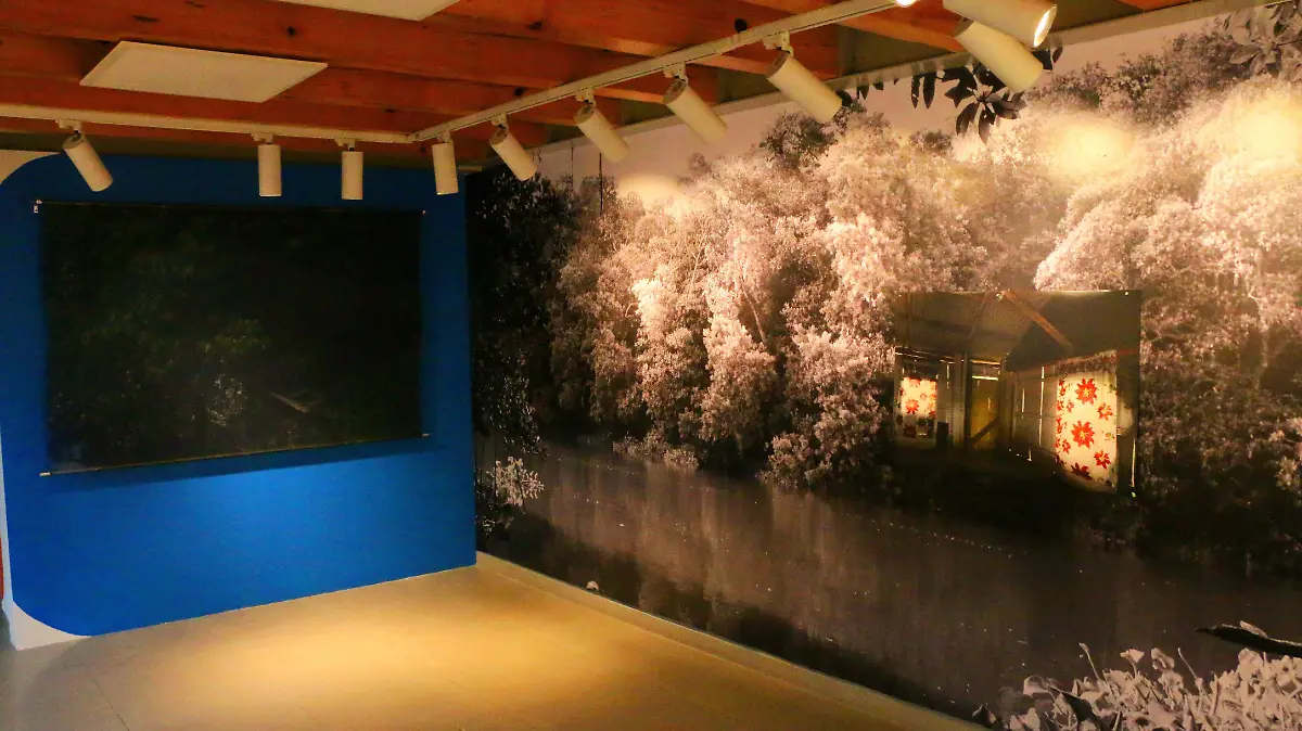 david- Alva de la CanalG_2720