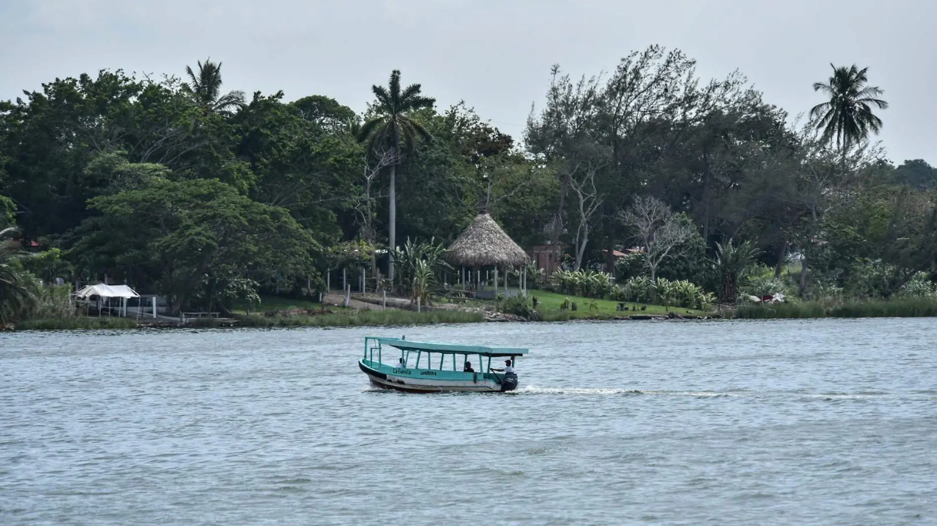 RENE-TUXPAN