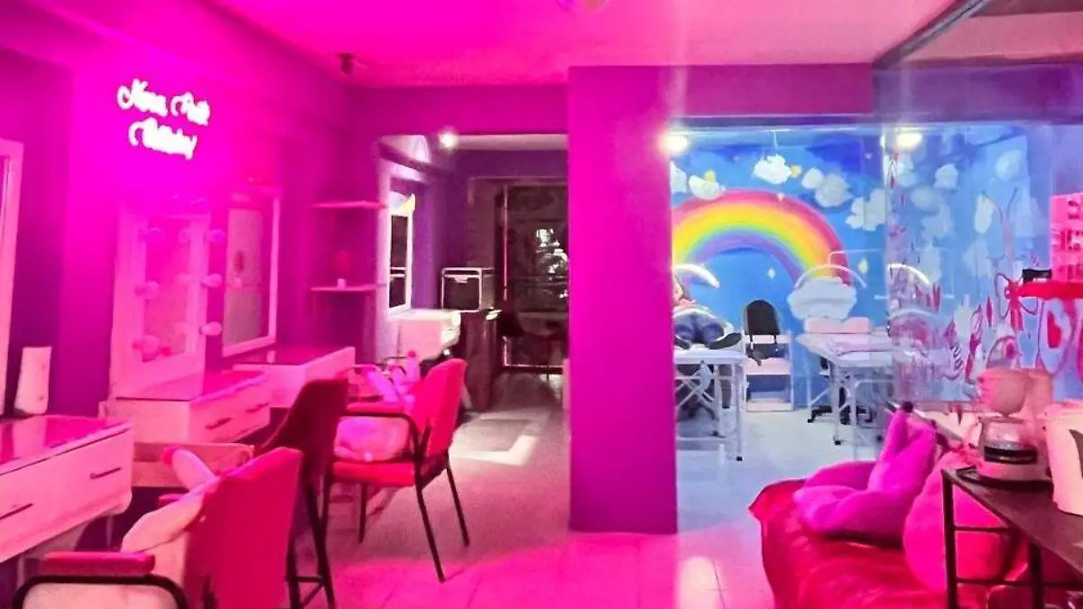 doll house (4)