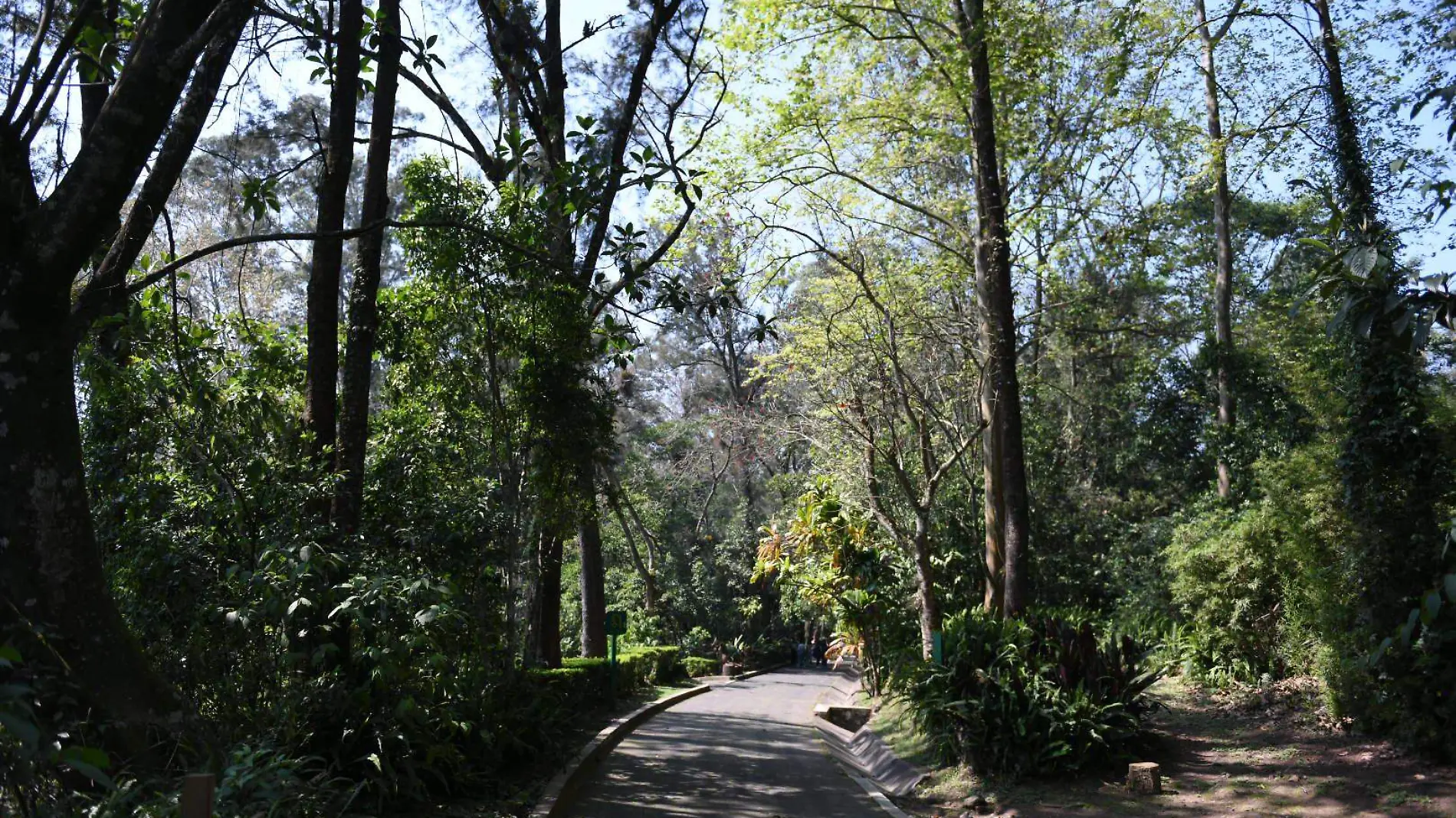 Áreas verdes de Xalapa