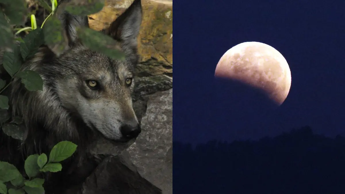 Diseño sin título (19)