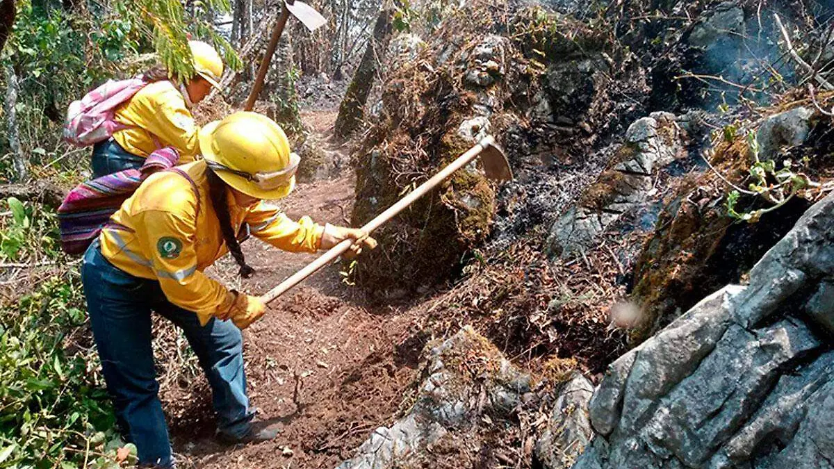 Incendios-forestales