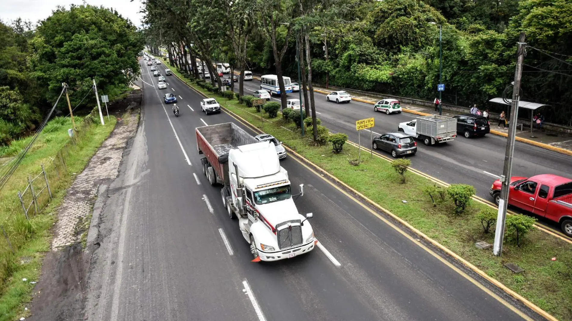 RENE-TRANSPORTE