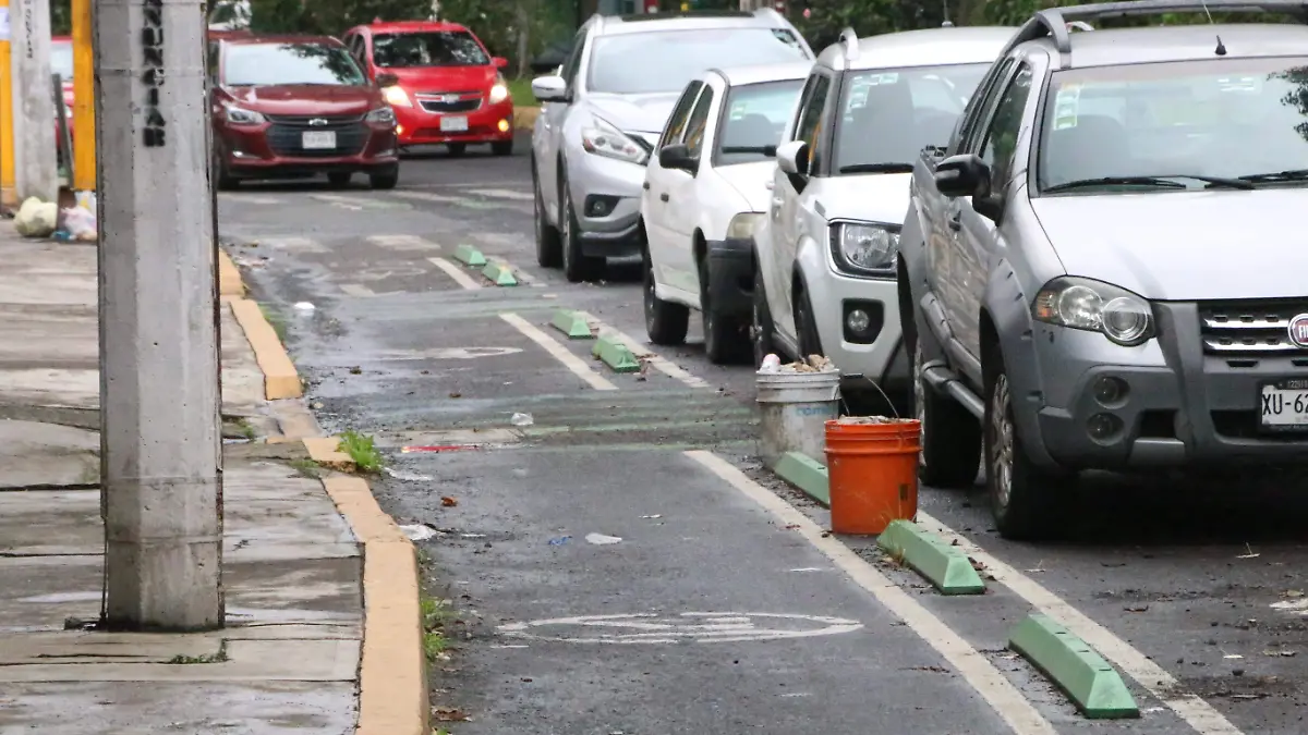 Ciclovía en avenida Ruiz Cortines