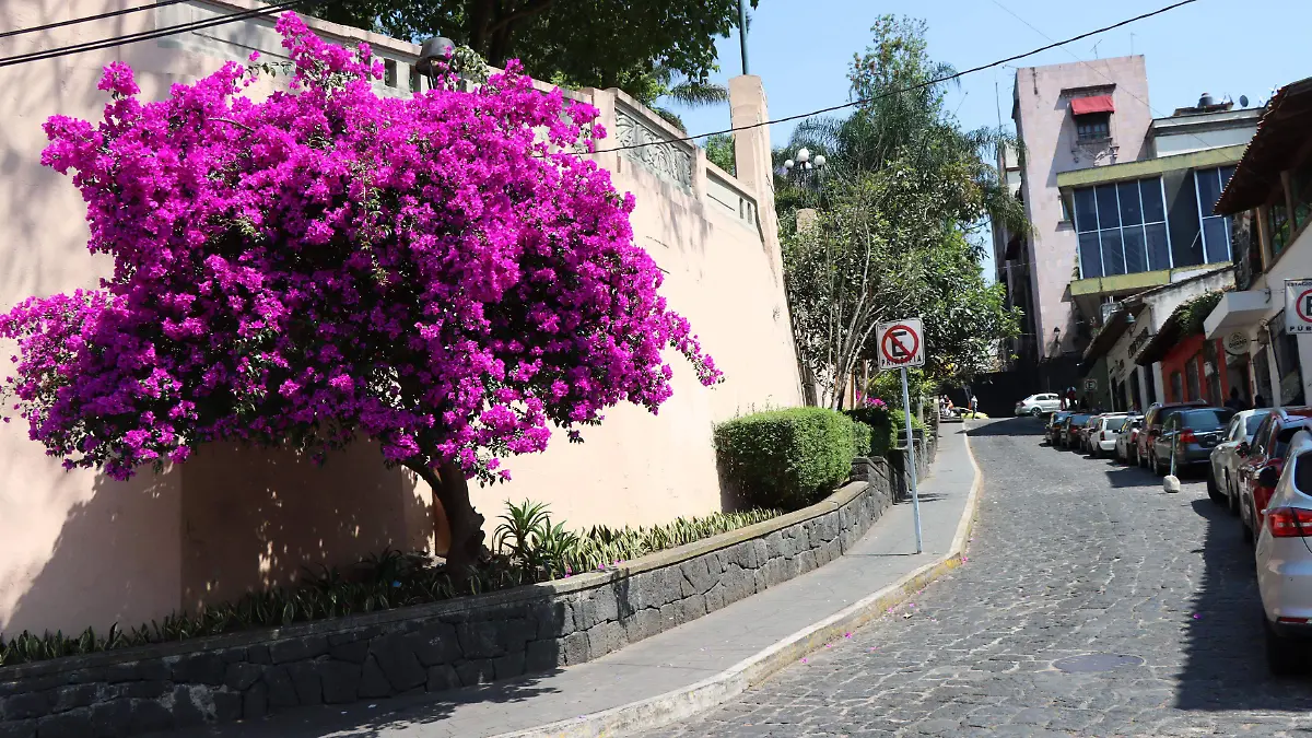 Callejón Miguel Barragán